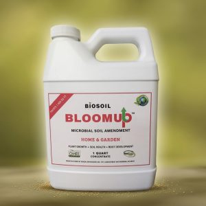 Bloom Up