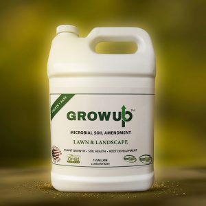 Grow Up