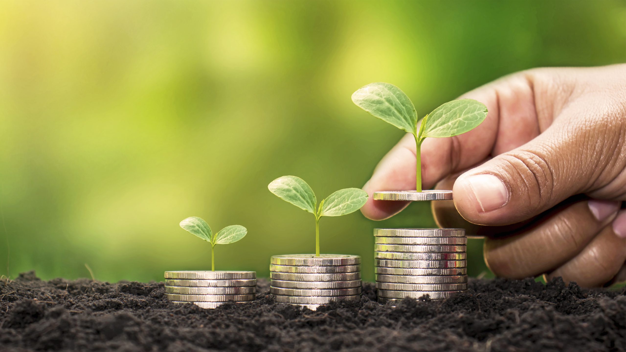 Agricultural Investments