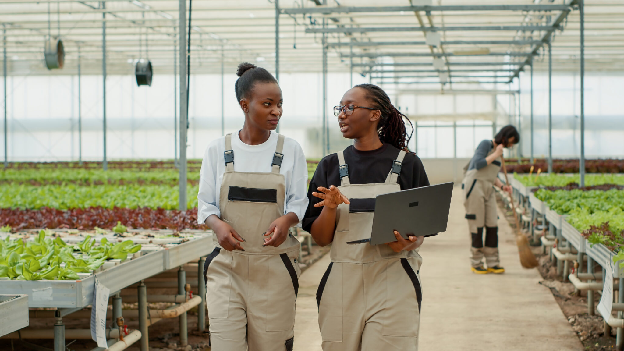Manufacturing Partnerships