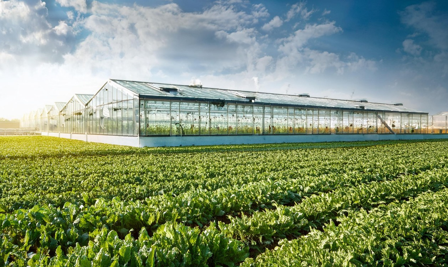 Agricultural Infrastructure