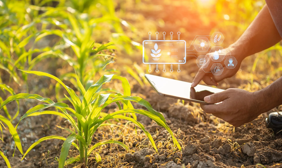 Technology and Innovation Initiatives
